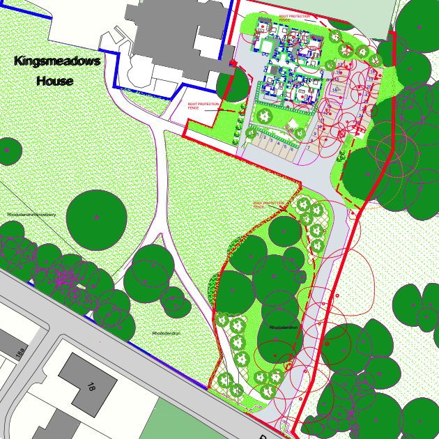 2022 tree removal plan